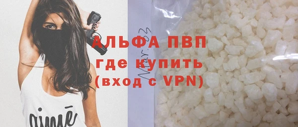 прущие грибы Новокубанск