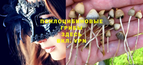 spice Алексин